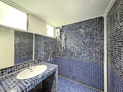 Dunearn Road (D11), Condominium #612757651